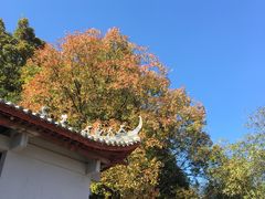 -方岩风景区