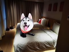 -北京国贸CBD亚朵S酒店xFunsCenter