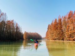 -上海海湾国家森林公园