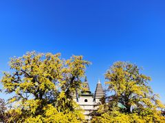 -北京石刻艺术博物馆(五塔寺)