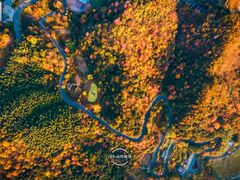 -燕子河大峡谷天坑仙境