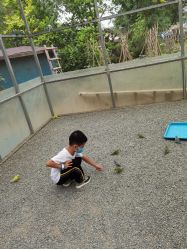 -萌宠亲子动物乐园(槐房万达店)