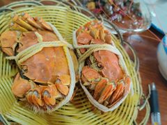 -渔娘蟹庄(阳澄湖莲花岛店)