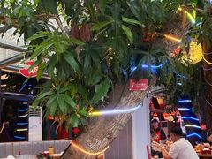 -海岛八号龙虾烧烤田鸡(蓝天路总店)