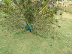 -云漫湖生态度假公园