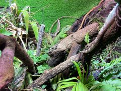 -上海海洋水族馆