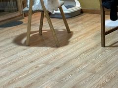 -白兔子密室(长寿路店)