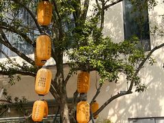 -铁像寺水街