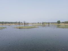 -野鸭湖国家湿地公园