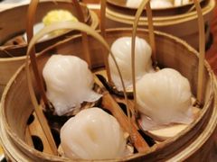 -金鼎轩(亚运村店)