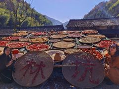 -林坑古村落