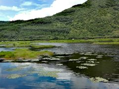 -腾冲北海湿地