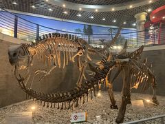 -国家自然博物馆