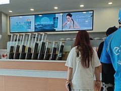 -雾与山茶(大禹城店)