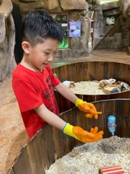 -宝燕乐园(闵行旗舰店)