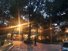 -申粤轩酒楼·三十年粤菜经典(丁香花园店)