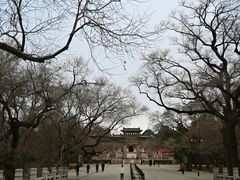 -北陵公园