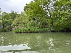 -西溪国家湿地公园