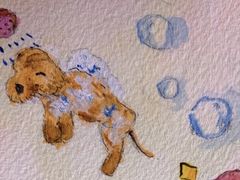 -PET WISH宠物愿望(BFC外滩金融中心店)