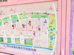 -高东镇樱花园
