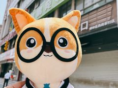 -瑞鹏宠物医院·爱宠堂·骨外专科(西荷分院)