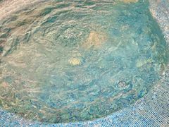 -重庆市奥林匹克体育中心-游泳跳水馆