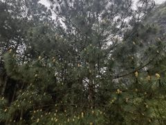 -Club Med地中海俱乐部·桂林度假村