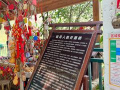 -西双版纳原始森林公园
