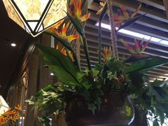 -云海肴云南菜·蒸汽石锅鱼(北京良乡华冠店)