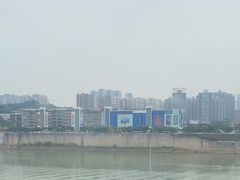 -李子坝梁山鸡(李子坝大鸡哥店)