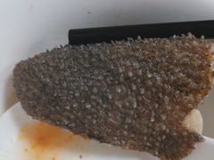 -五洲牛肉美食馆