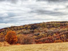 -塞罕坝国家级自然保护区