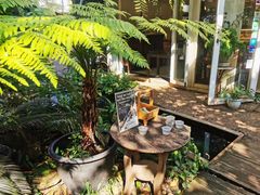 -Fern Forest Cafe