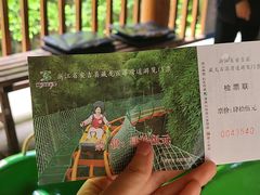 -藏龙百瀑风景区