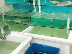 水产区-海之味海鲜大咖·家常菜