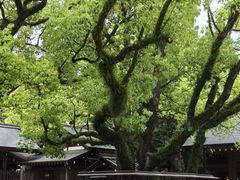 -热田神宫