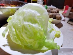 圆生菜-万和源炝锅城·活鱼现炝(文艺北路店)