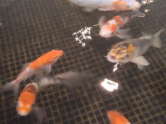 -唐廊烤鸭店(工体店)