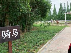 -太阳岛度假酒店