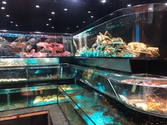 -金翠皇宫粤菜·点心·海鲜(科技园店)