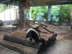 -海南热带野生动植物园