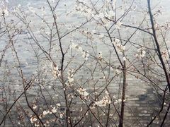 -口岸雕花楼