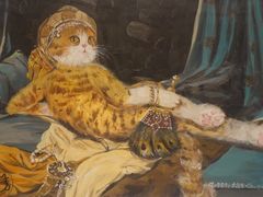 -喵屿·大理花园猫咖