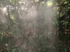 -青青世界