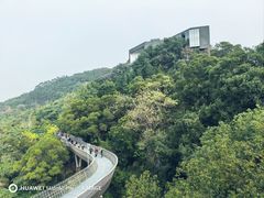 -福道