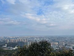 -杭州半山国家森林公园