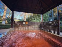 -春晖园度假酒店温泉