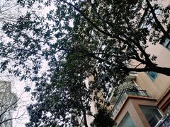 -滨湖·名邸一期