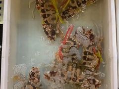 -益利大酒楼(井岸店)