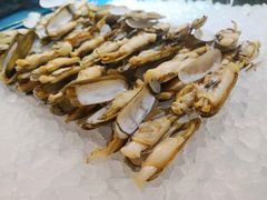 蛏子-鲁商铂尔曼大酒店·铂丽自助餐厅